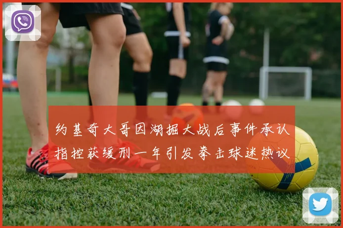 约基奇大哥因湖掘大战后事件承认指控获缓刑一年引发拳击球迷热议