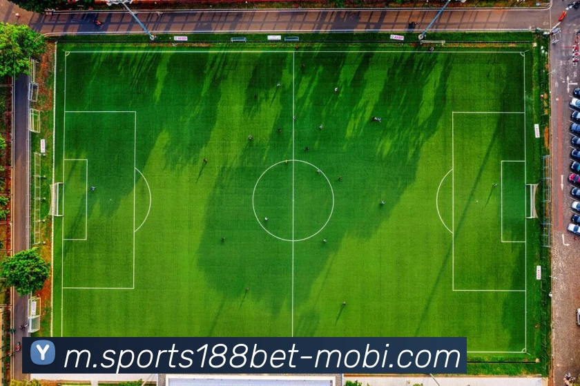 App Interface Preview